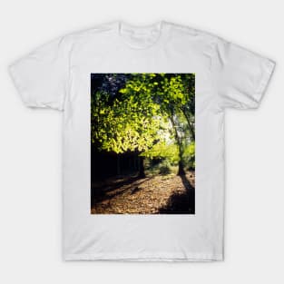 Spring Trees T-Shirt